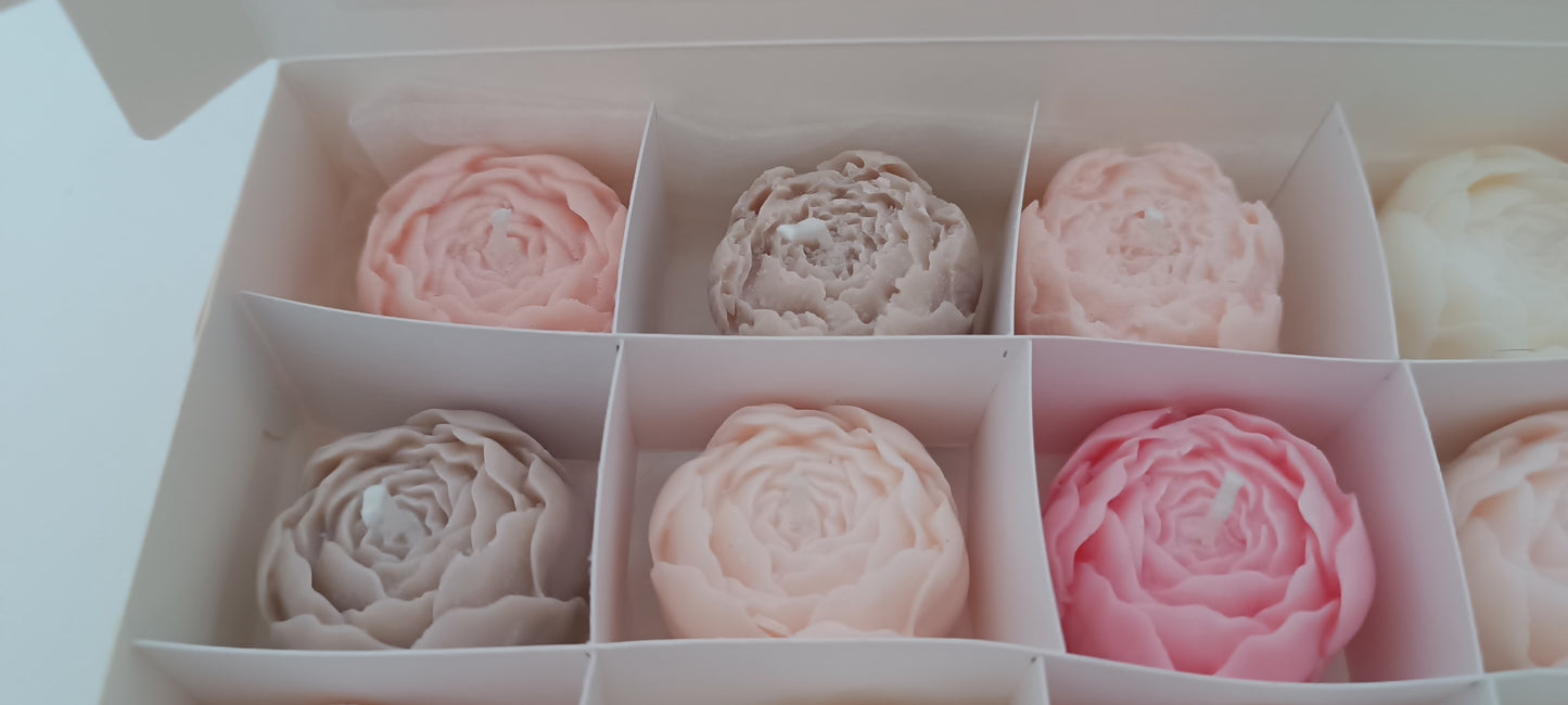 100% vegan candles gift box for home your decor ideas, beautiful peonies, soft colours to relax and calm spaces