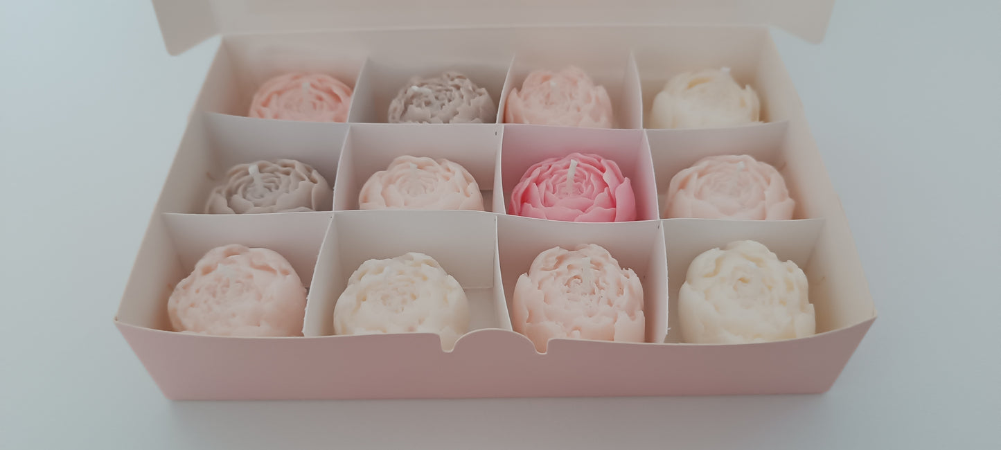100% vegan candles gift box for home your decor ideas, beautiful peonies, soft colours to relax and calm spaces
