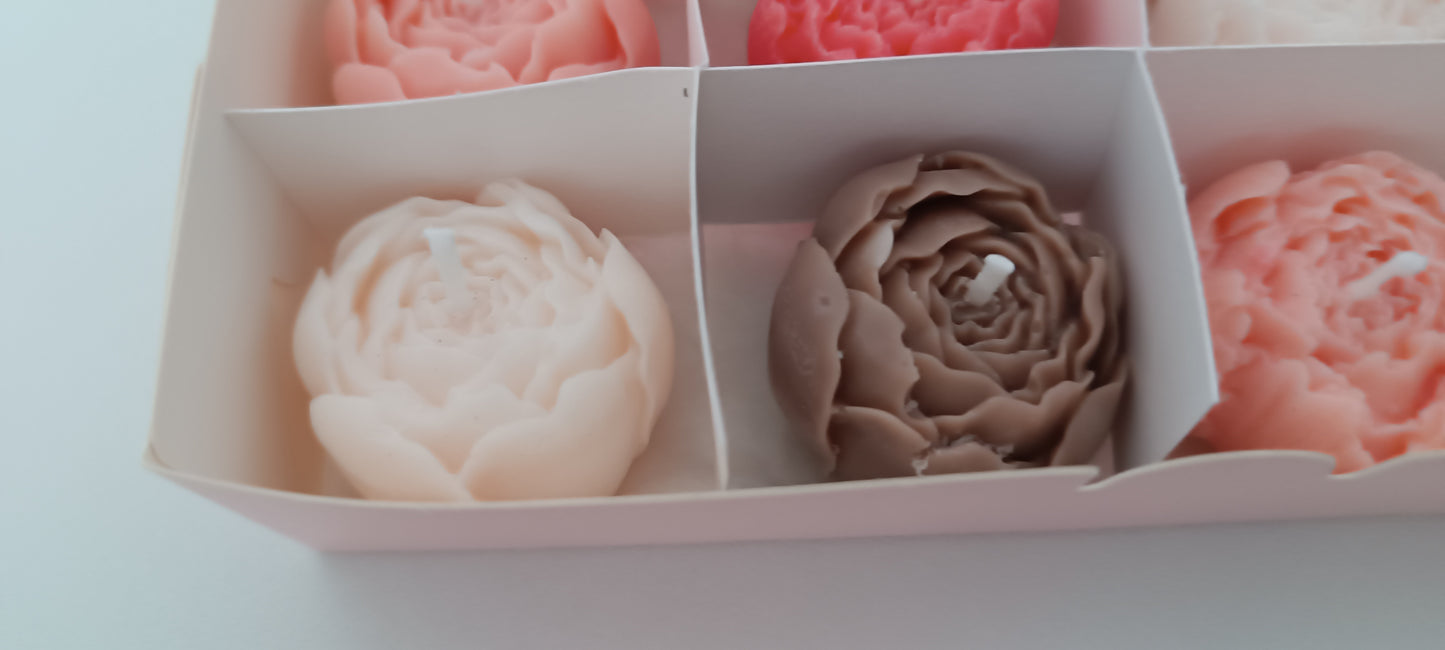 100% vegan candles gift box for home your decor ideas, beautiful peonies, soft colours to relax