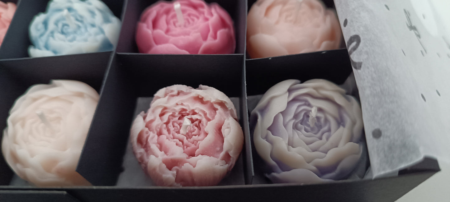 16 candles gift box for home your decor ideas, beautiful peonies, soft colours for a relaxed and calm spaces, soy wax