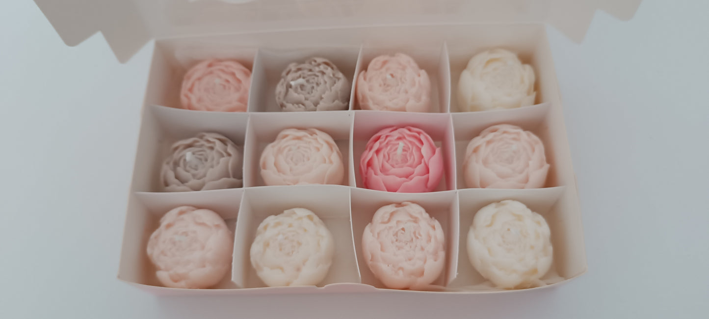 100% vegan candles gift box for home your decor ideas, beautiful peonies, soft colours to relax and calm spaces