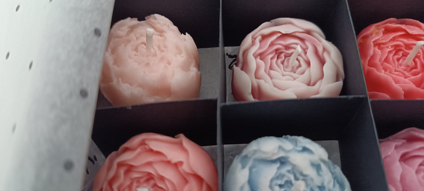 16 candles gift box for home your decor ideas, beautiful peonies, soft colours for a relaxed and calm spaces, soy wax