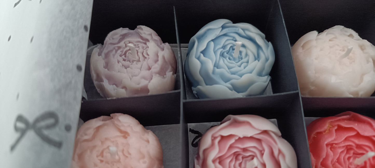 16 candles gift box for home your decor ideas, beautiful peonies, soft colours for a relaxed and calm spaces, soy wax