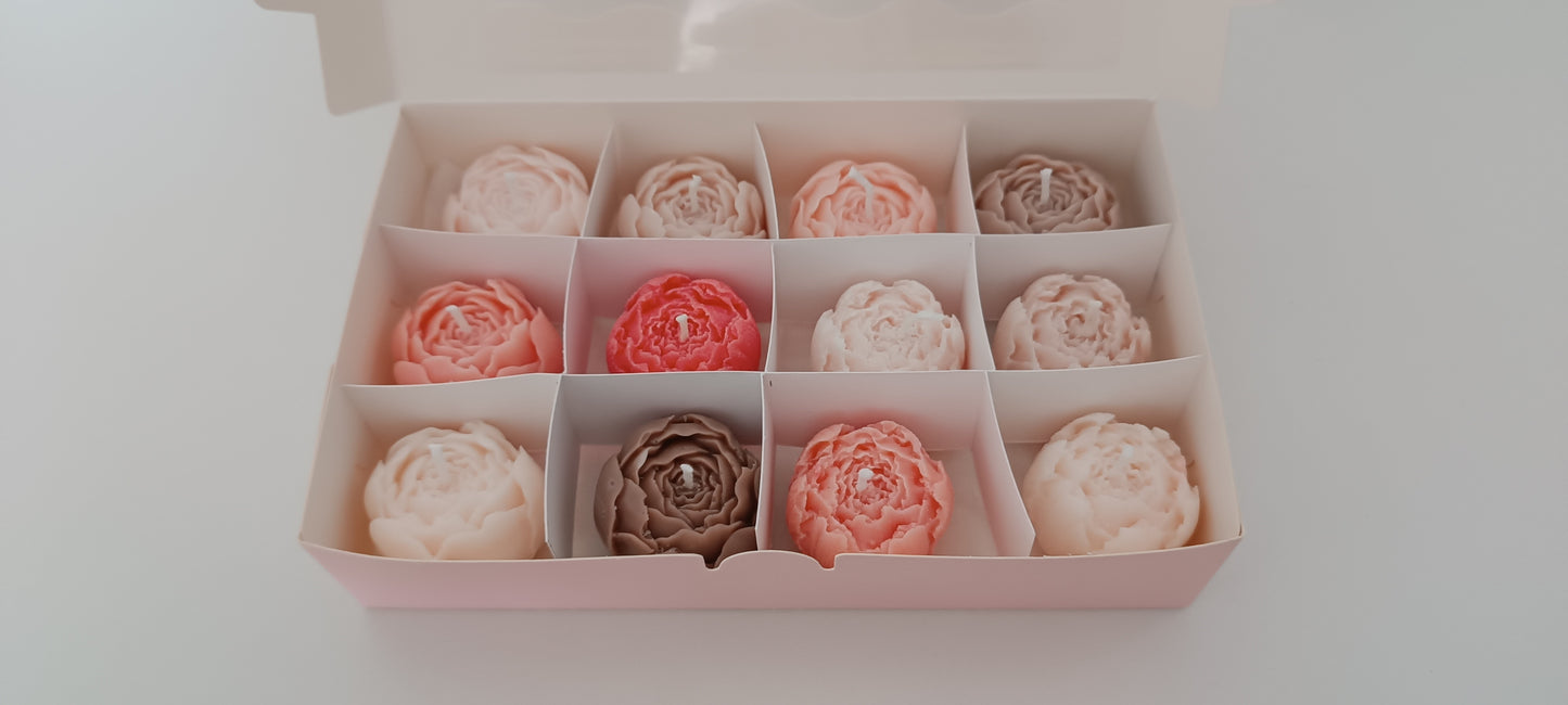 100% vegan candles gift box for home your decor ideas, beautiful peonies, soft colours to relax