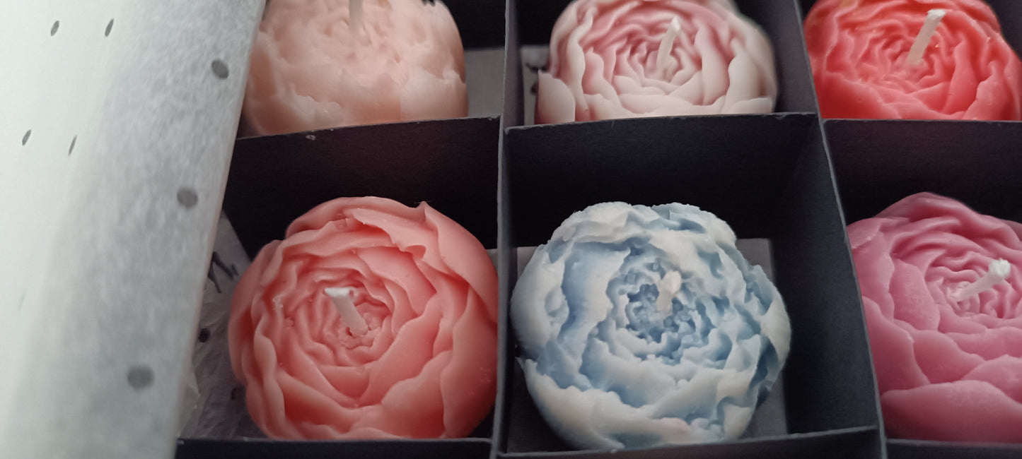 16 candles gift box for home your decor ideas, beautiful peonies, soft colours for a relaxed and calm spaces, soy wax