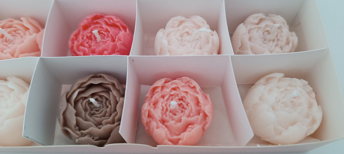 100% vegan candles gift box for home your decor ideas, beautiful peonies, soft colours to relax