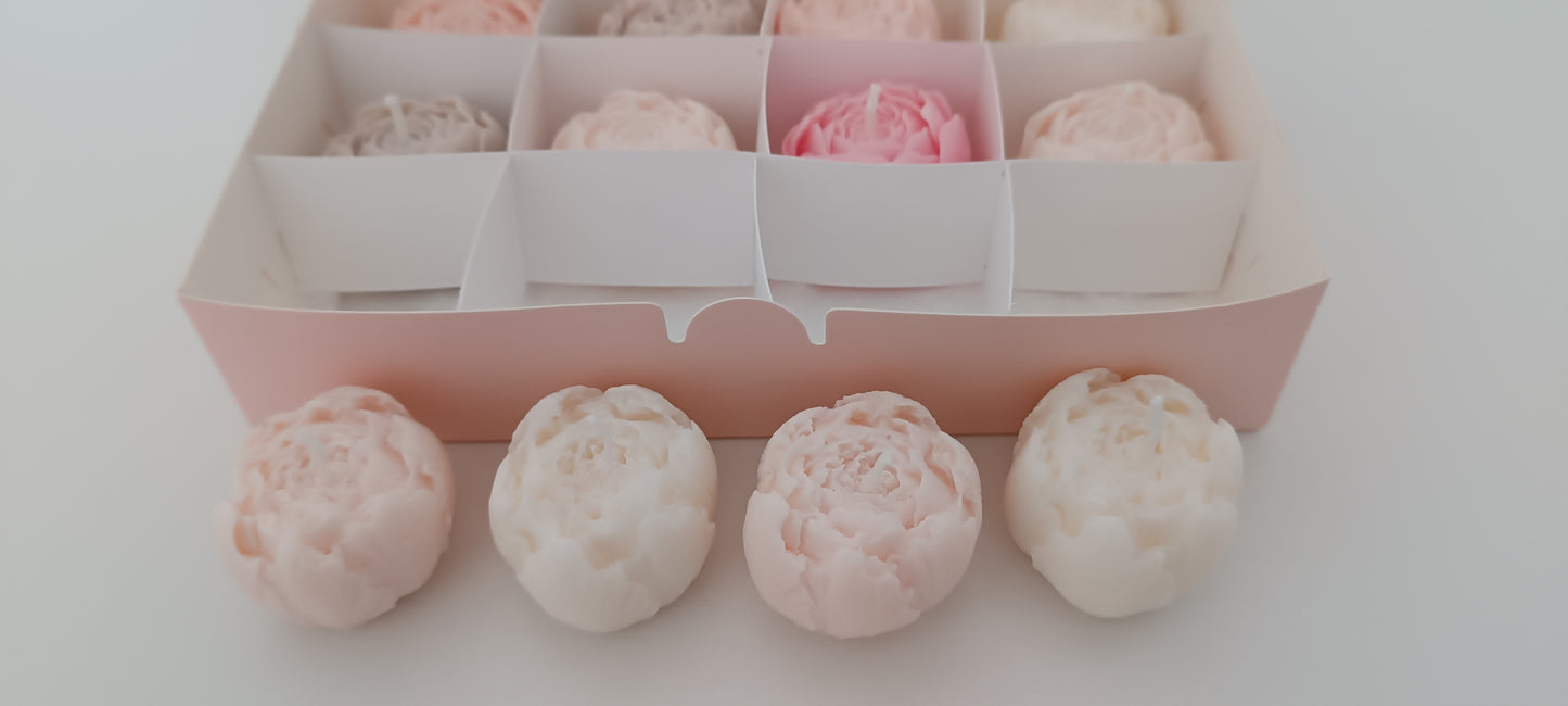 100% vegan candles gift box for home your decor ideas, beautiful peonies, soft colours to relax and calm spaces