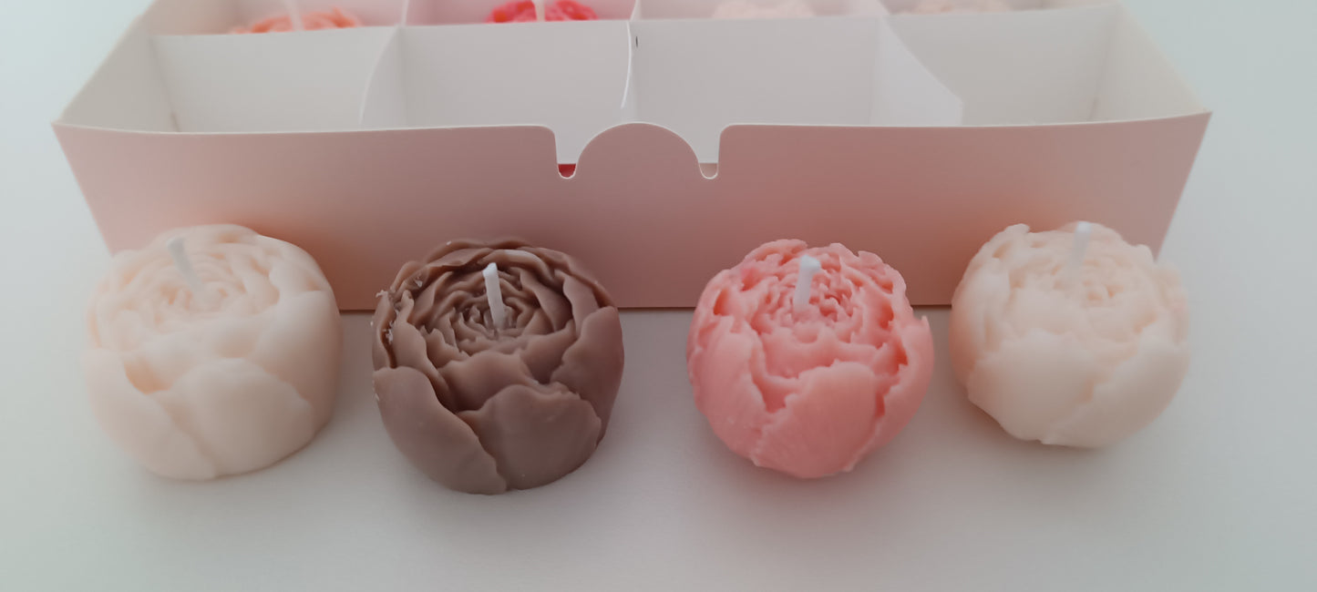 100% vegan candles gift box for home your decor ideas, beautiful peonies, soft colours to relax