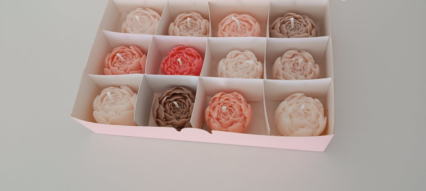 100% vegan candles gift box for home your decor ideas, beautiful peonies, soft colours to relax