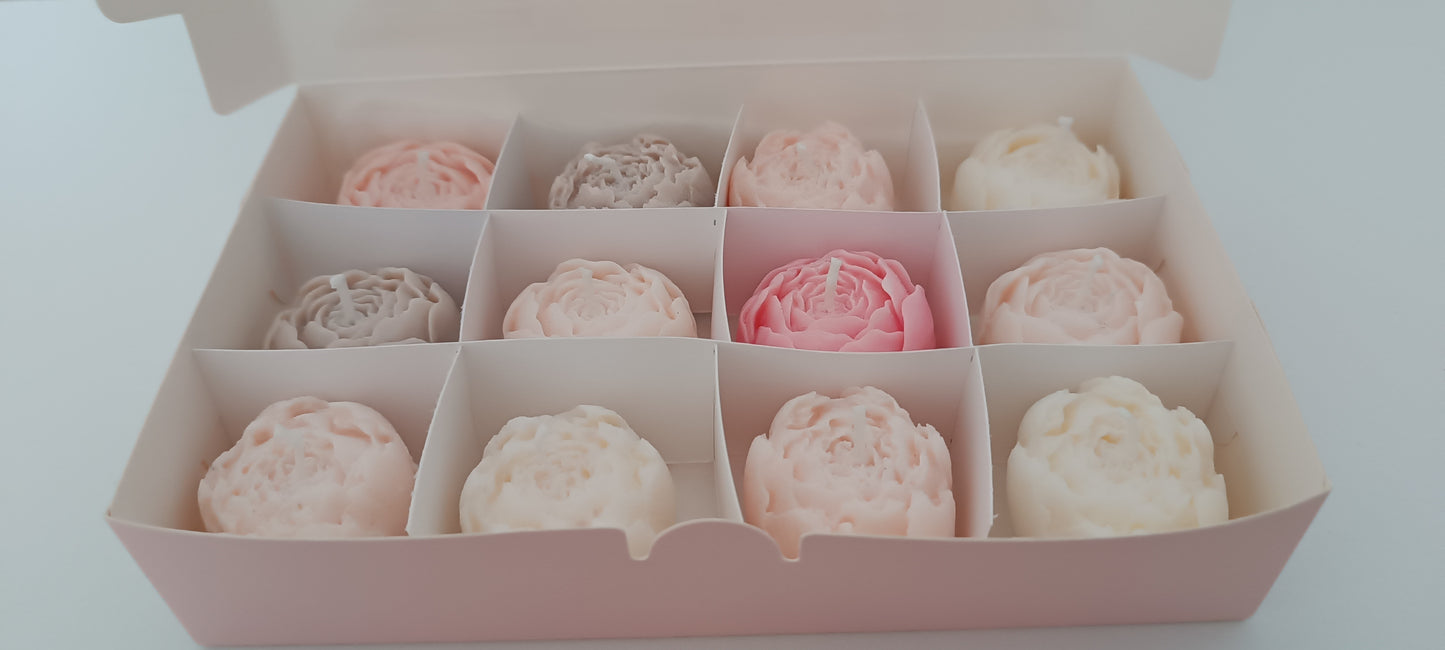 100% vegan candles gift box for home your decor ideas, beautiful peonies, soft colours to relax and calm spaces