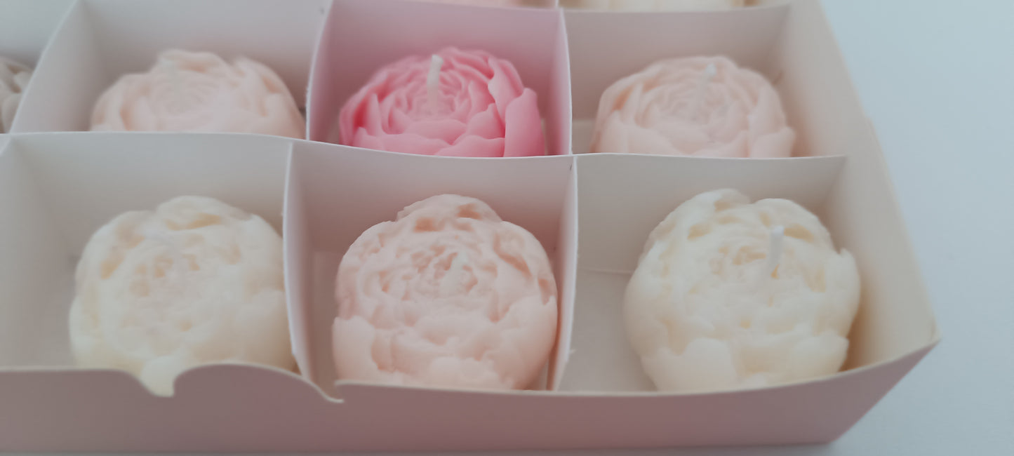 100% vegan candles gift box for home your decor ideas, beautiful peonies, soft colours to relax and calm spaces