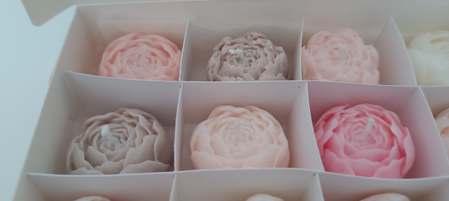 100% vegan candles gift box for home your decor ideas, beautiful peonies, soft colours to relax and calm spaces