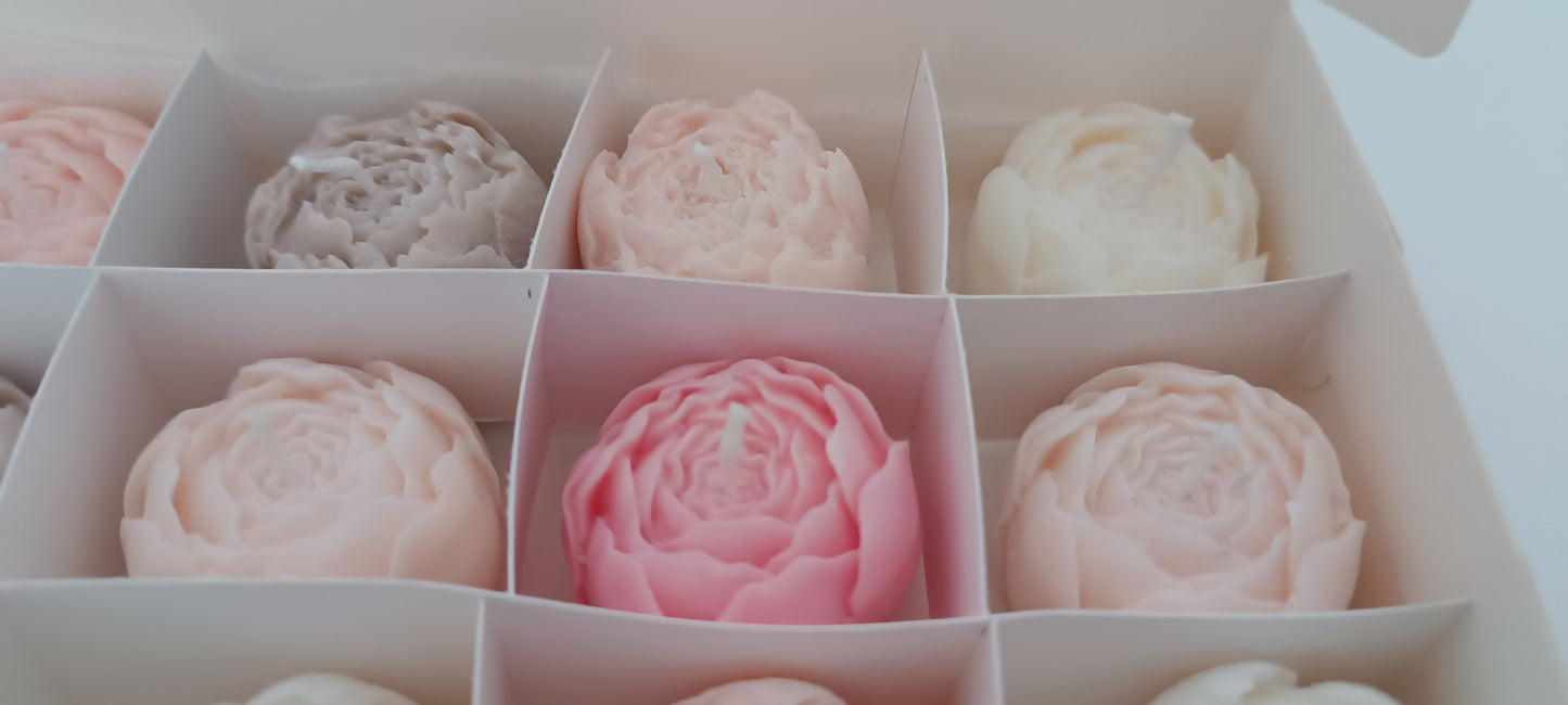 100% vegan candles gift box for home your decor ideas, beautiful peonies, soft colours to relax and calm spaces