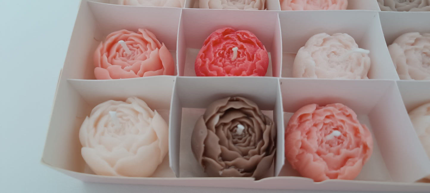 100% vegan candles gift box for home your decor ideas, beautiful peonies, soft colours to relax