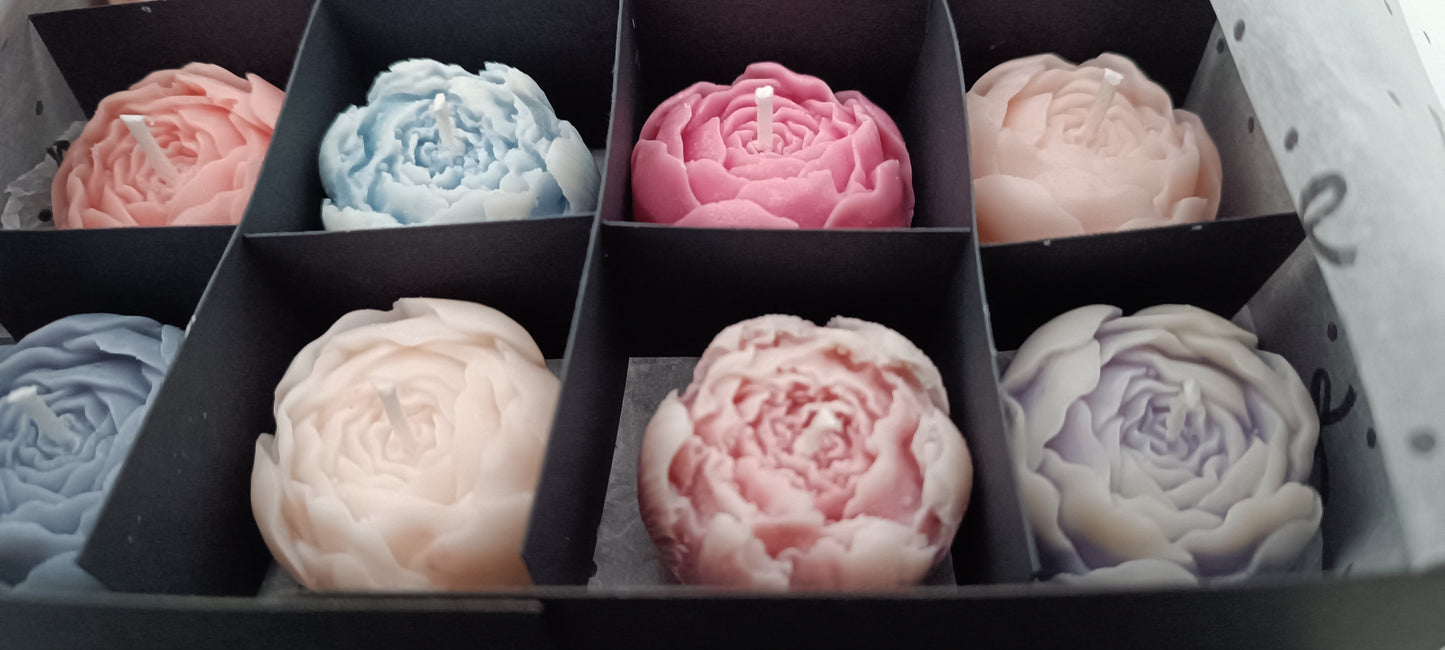 16 candles gift box for home your decor ideas, beautiful peonies, soft colours for a relaxed and calm spaces, soy wax