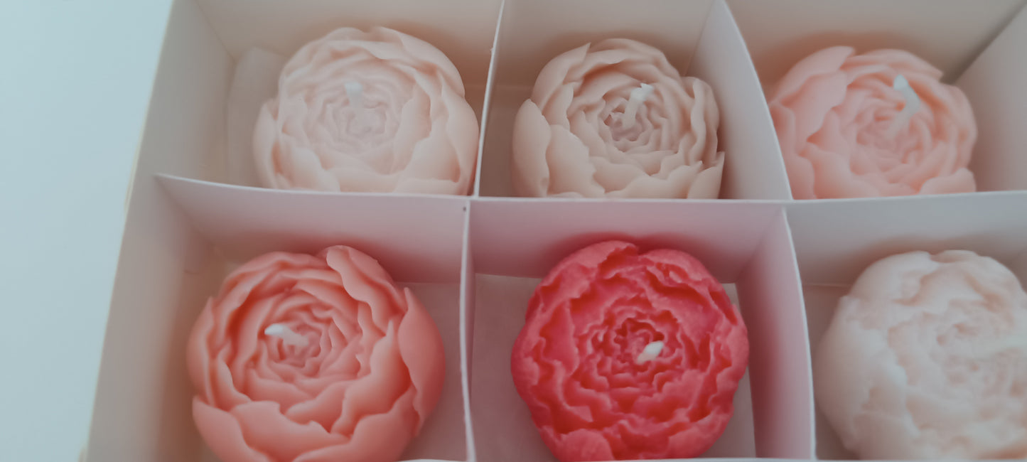 100% vegan candles gift box for home your decor ideas, beautiful peonies, soft colours to relax