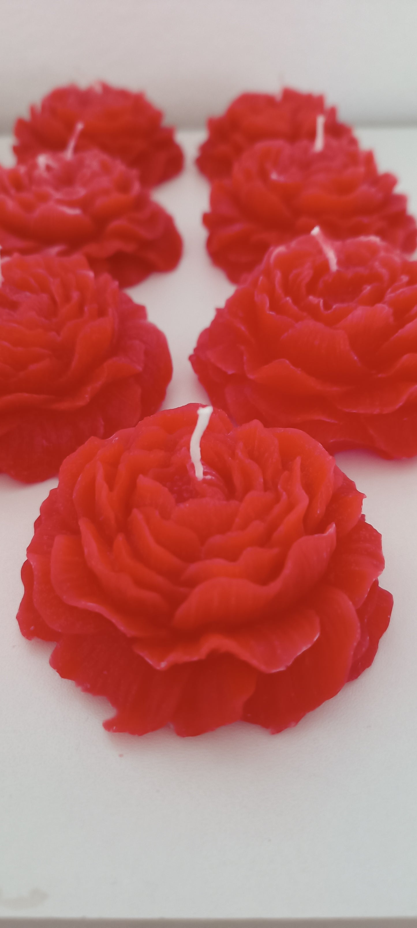 4 pack candles in peonies shape for decoration - pack de 4 velas em forma de peónias para decoração